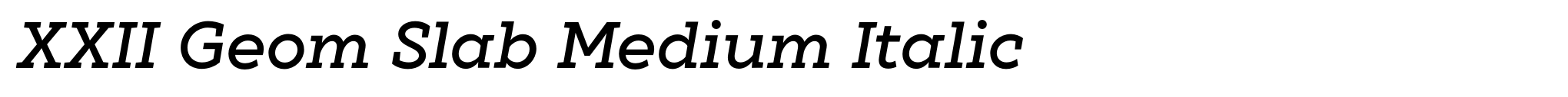 XXII Geom Slab Medium Italic image